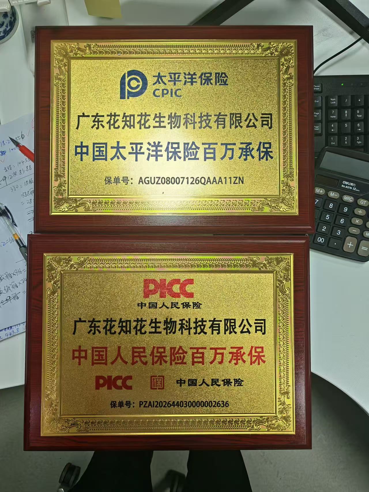 工厂照片